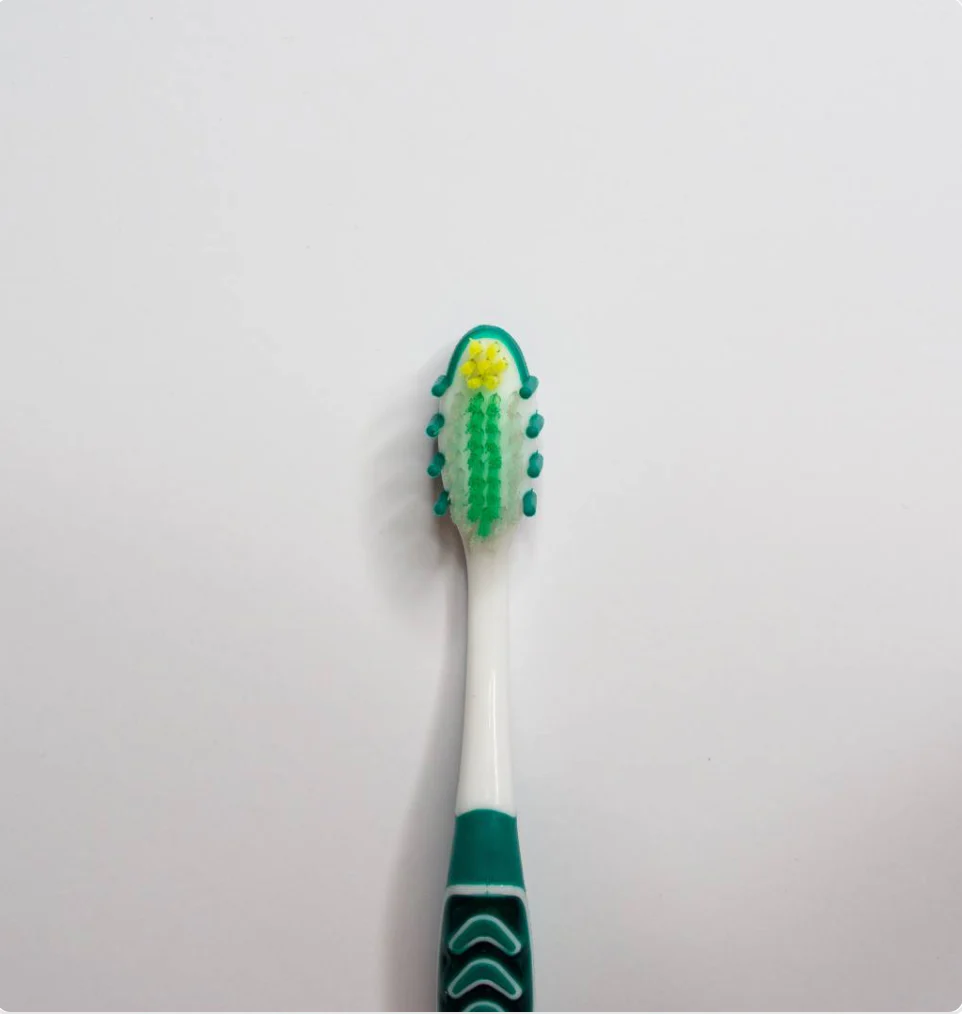 BROSSE À DENTS EXTRA CLEAN -SOIES MOYENNES (VERT-BLANC) CHOGAN - Image 2